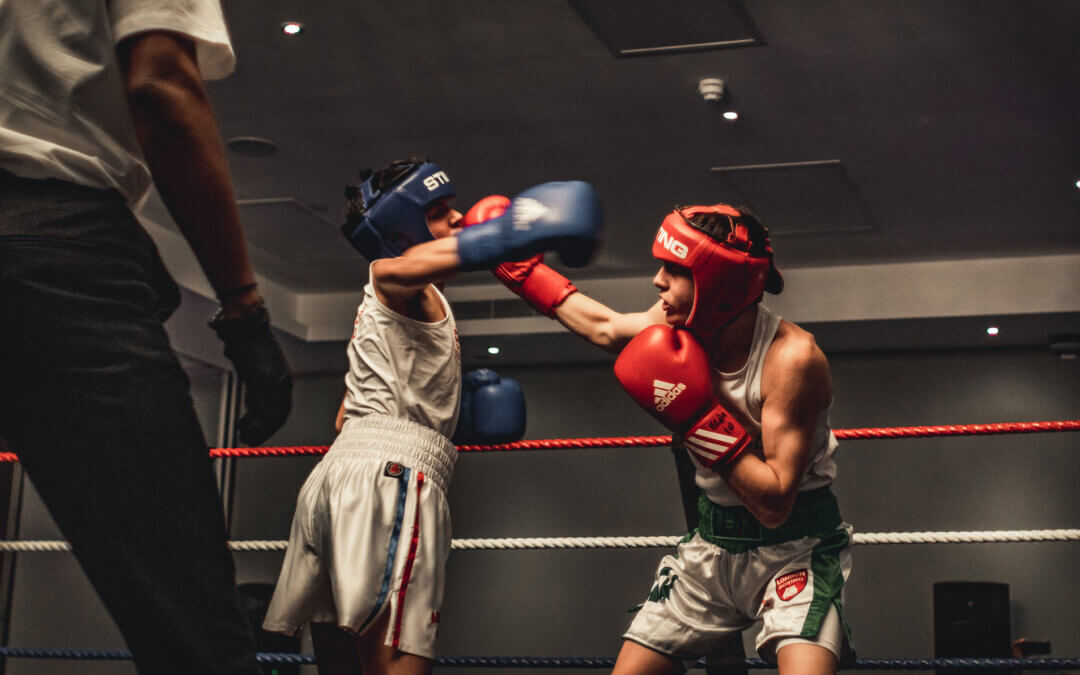 Breyer Foundation Boxing Evening