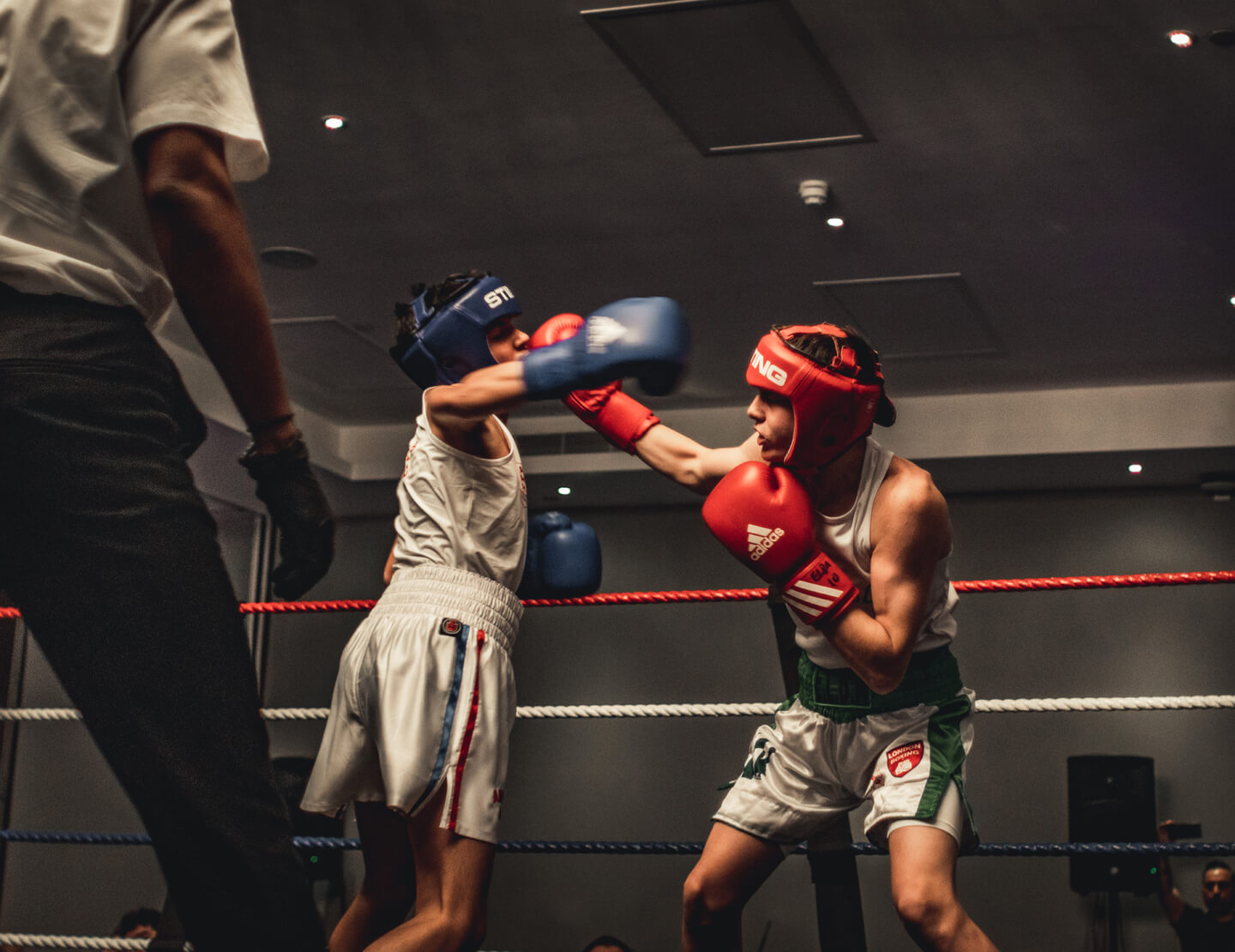 2 Boxers fighting